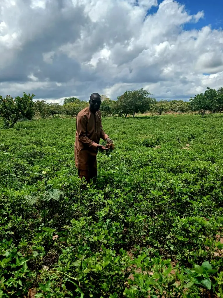 Farmer in a crop field under a cloudy sky
