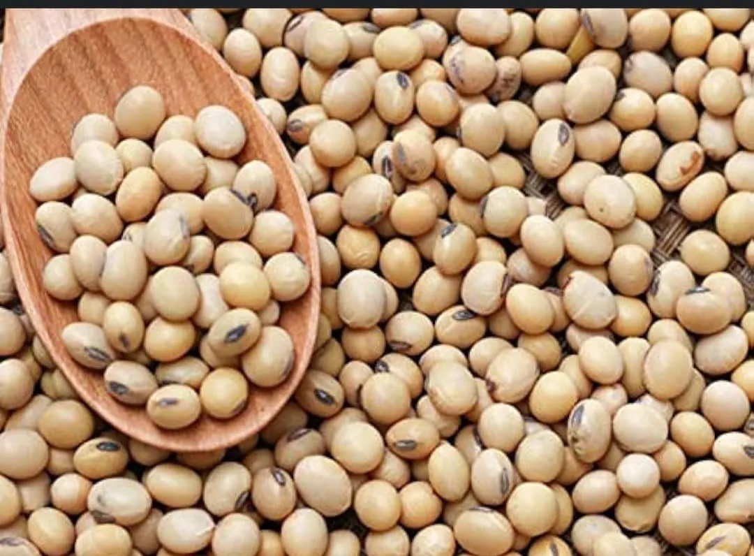 Packaged soybeans